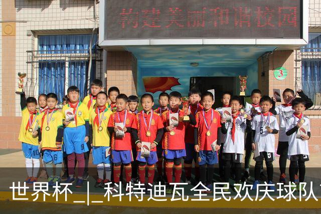 世界杯 | 科特迪瓦全民欢庆球队首进淘汰赛