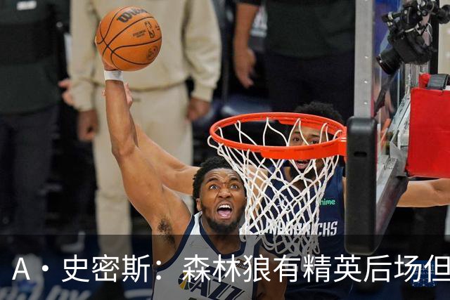 A·史密斯：森林狼有精英后场但体型变小 难应对雷霆马刺火箭掘金